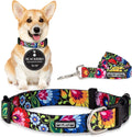 Easy Click Buckle Dog Collar and Leash Set - Secure Comfortable Fit