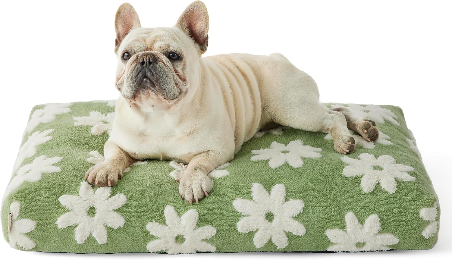 Lesure Dog Beds Medium Size with Thick Foam for Ultimate Comfort