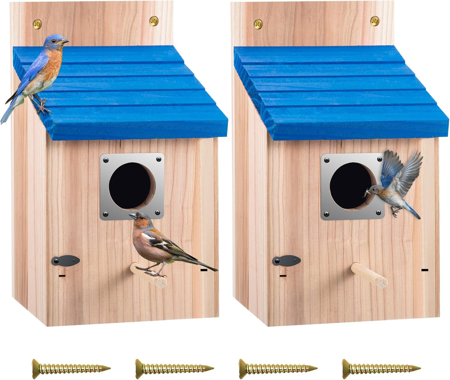 Dreyoo Cedar Bluebird Box Houses for Outside - 4 Pack