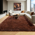 ONASAR Brown 6x9 Area Rug for Living Room Bedroom - Soft Washable Shag