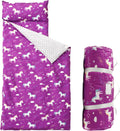 Toddler Nap Mat with Removable Pillow - Plush Portable Nap Pad