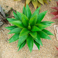 Fake Plants Artificial Agave Plant 22in - Realistic UV Resistant Decor