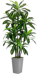 Artificial Dracaena Tree 6FT - Realistic Faux Tree with Tall Gray