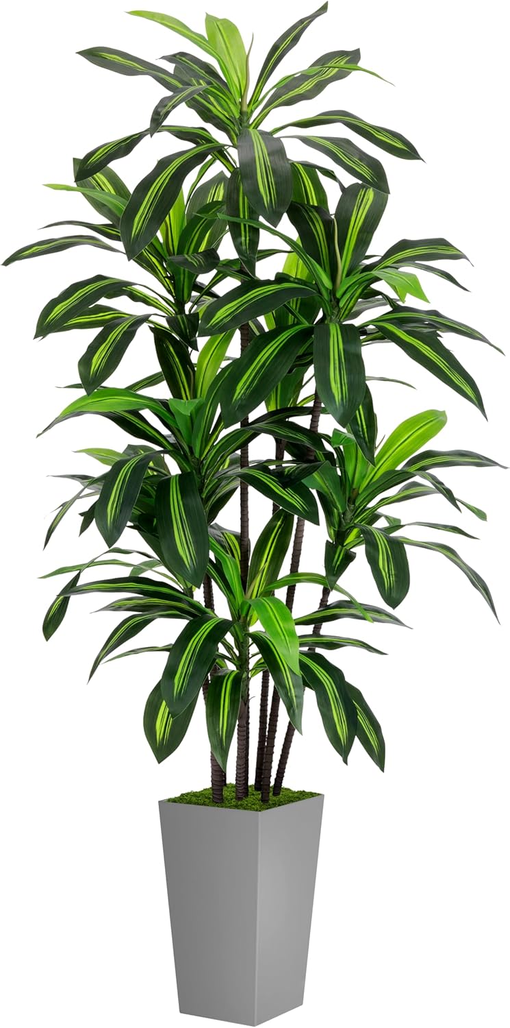 Artificial Dracaena Tree 6FT - Perfect Faux Plant for Home Decor