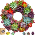 Succulent Garland Wooden Puzzle 500 Pieces Mandala - Calm, Challenging