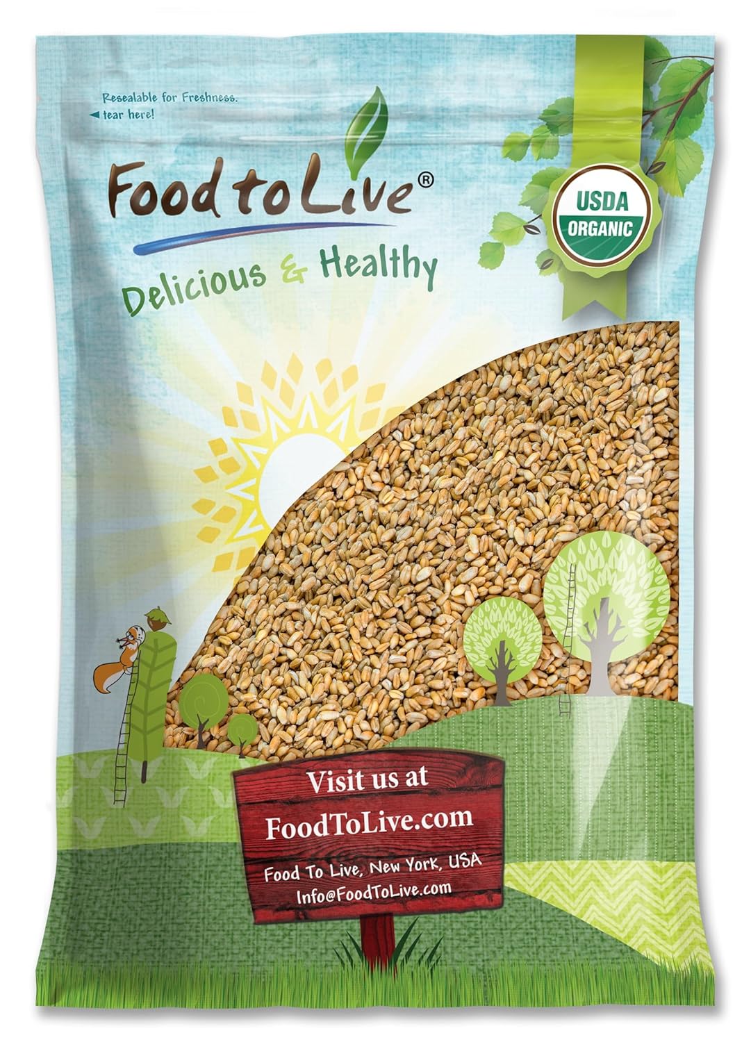 Organic Hulled Barley for Home Brewing and Cooking Needs