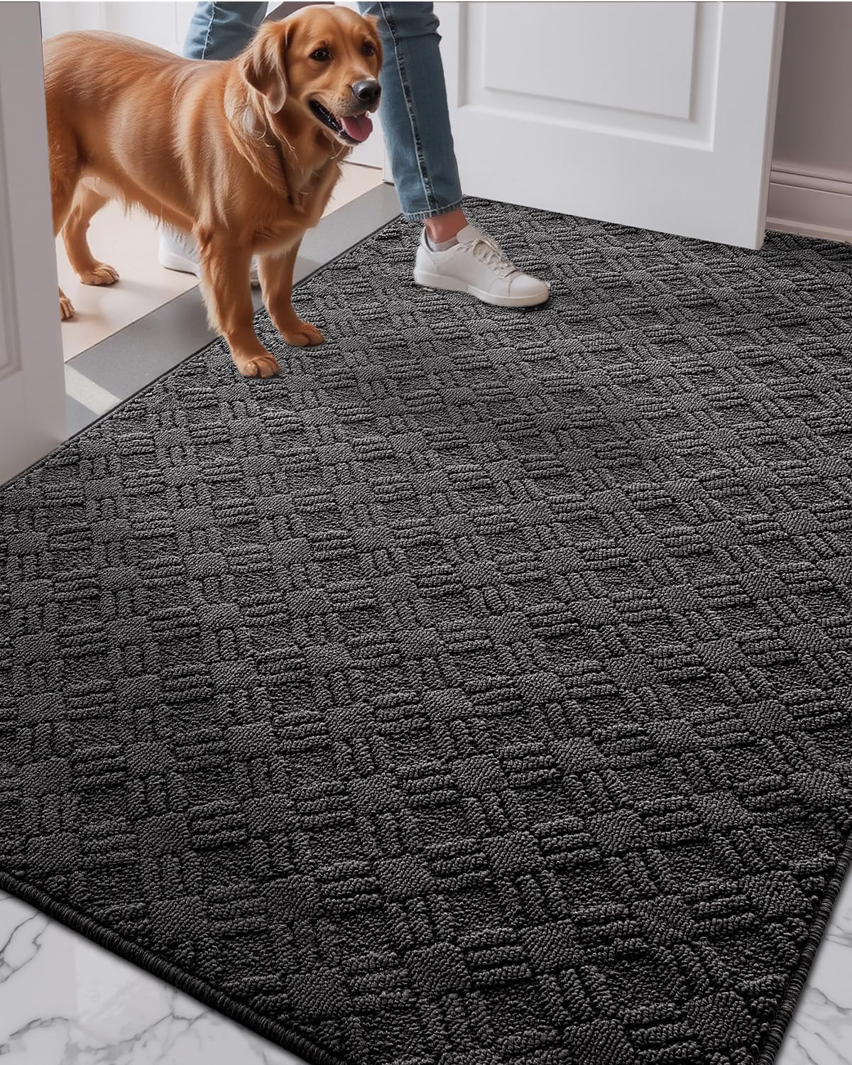 LUMI Indoor Door Mat - Absorbent Non-Slip Thin Doormat 36x60