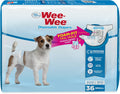 Four Paws Wee-Wee Super Absorbent Dog Diapers - Leak Protection