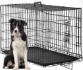 FDW Dog Crate for Large Dogs 48 in Folding Metal Wire Cage - Sturdy