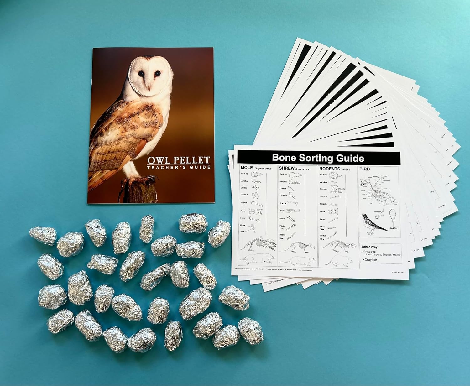 30 Pack Large Owl Pellets for Classroom Learning and Fun