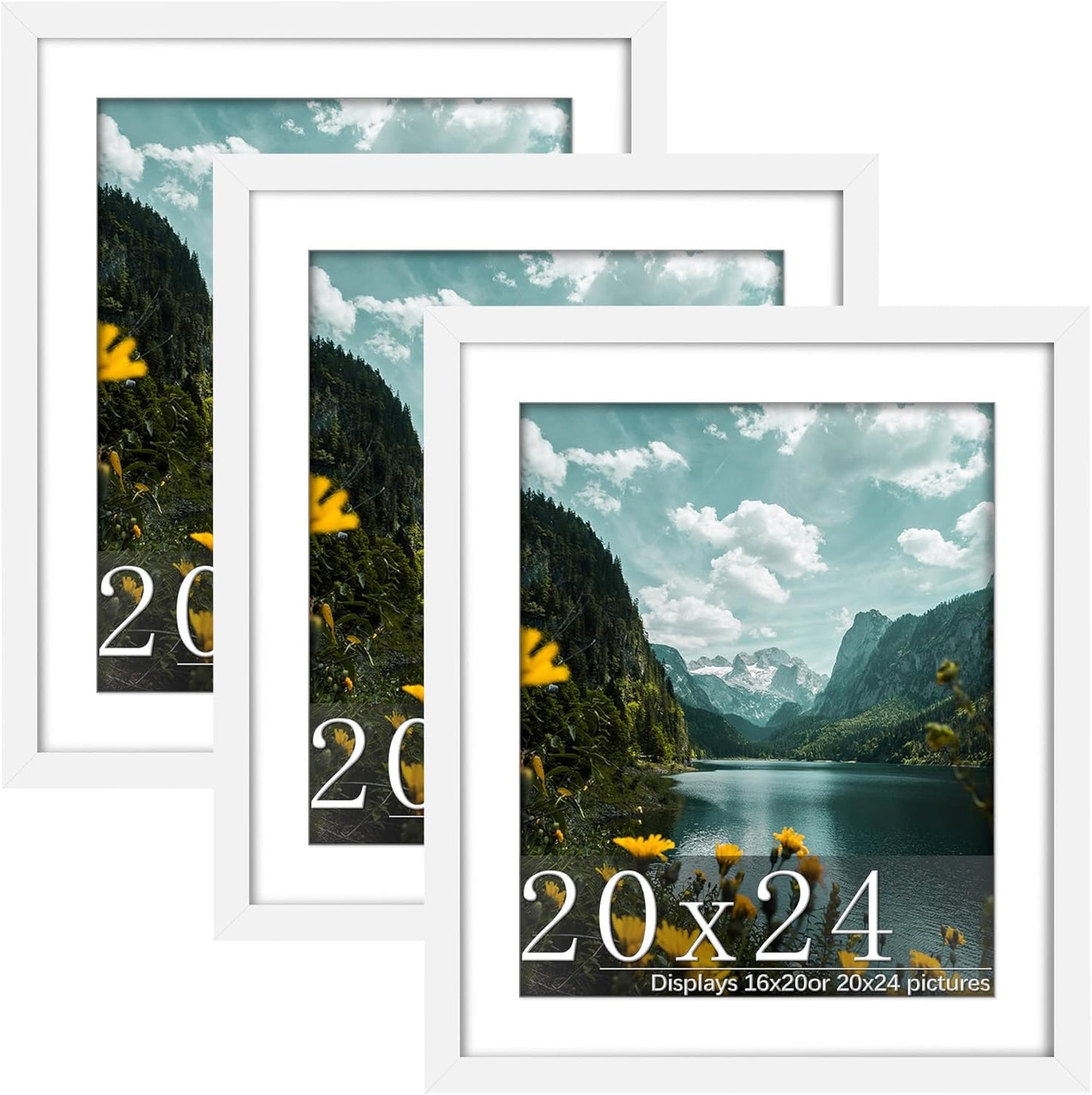 20x24 Picture Frame 3 Pack for Horizontal or Vertical Display