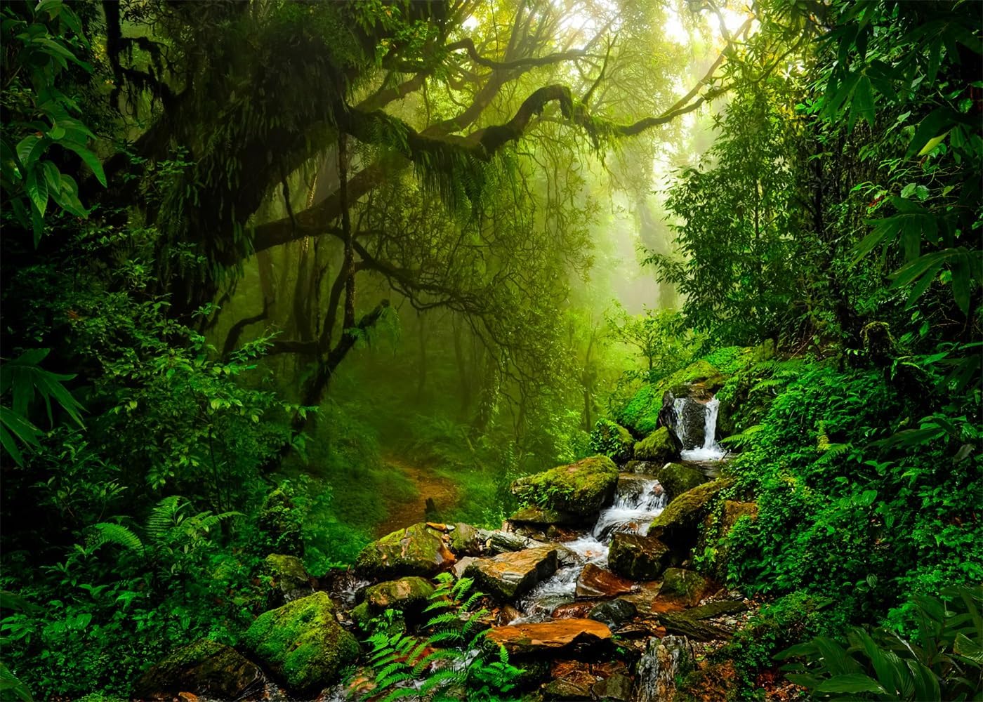 Tropical Jungle Backdrop for Stunning Photography Decor