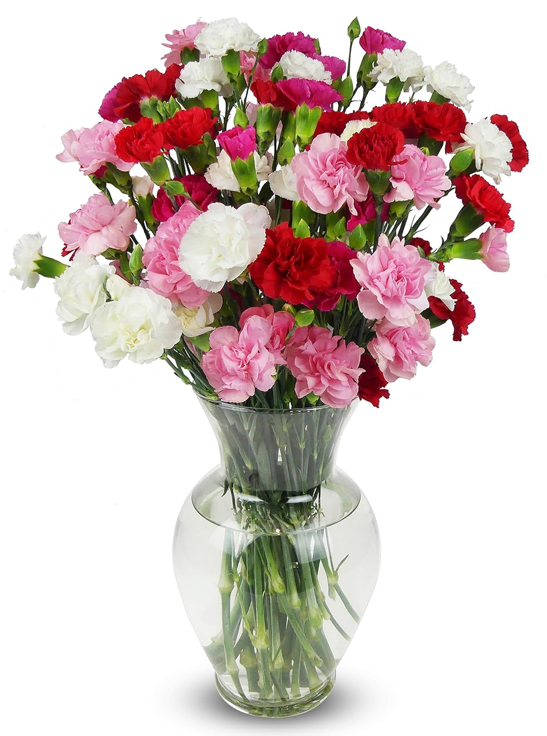 20 Stem Rainbow Mini Carnations for Every Celebration