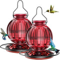 Glass Hummingbird Feeder 2 Pack - 26 Oz Retro Ball Design for Outdoors