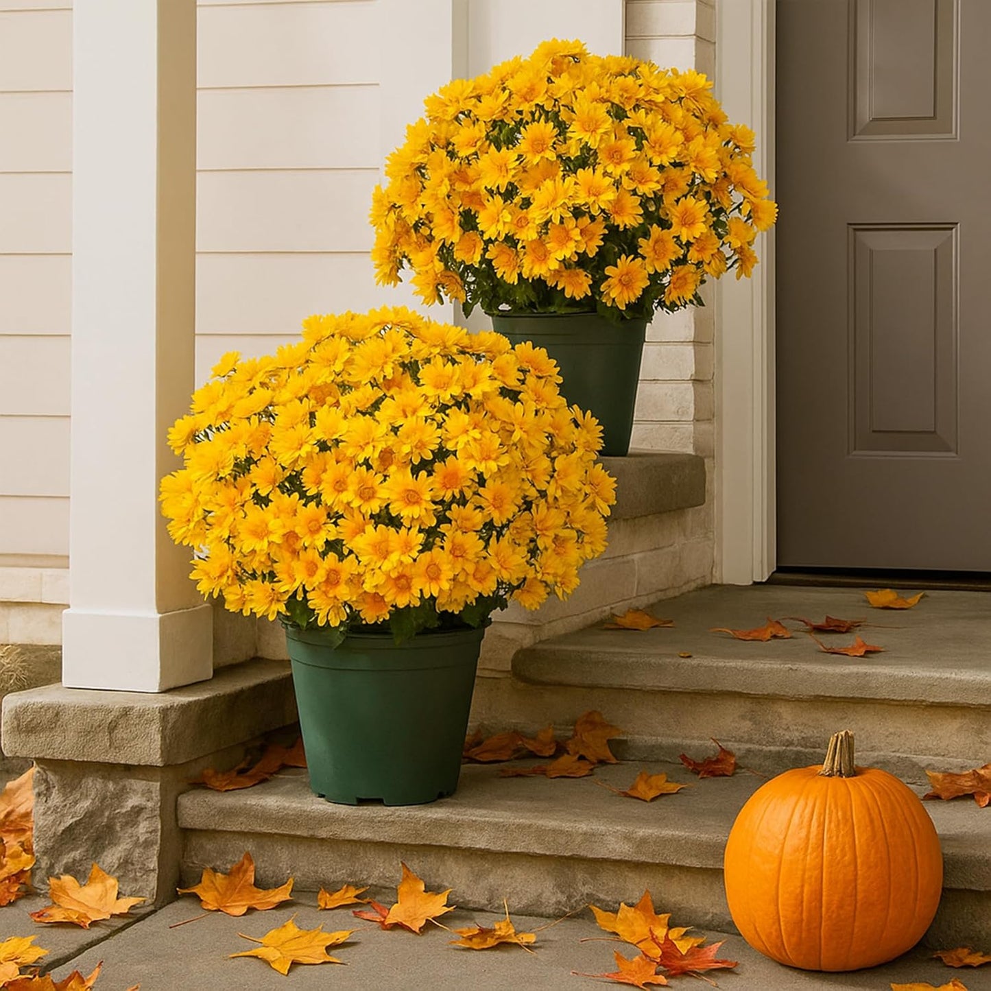 10 Bundles Artificial Mums - Lifelike Outdoor Sunset Flowers