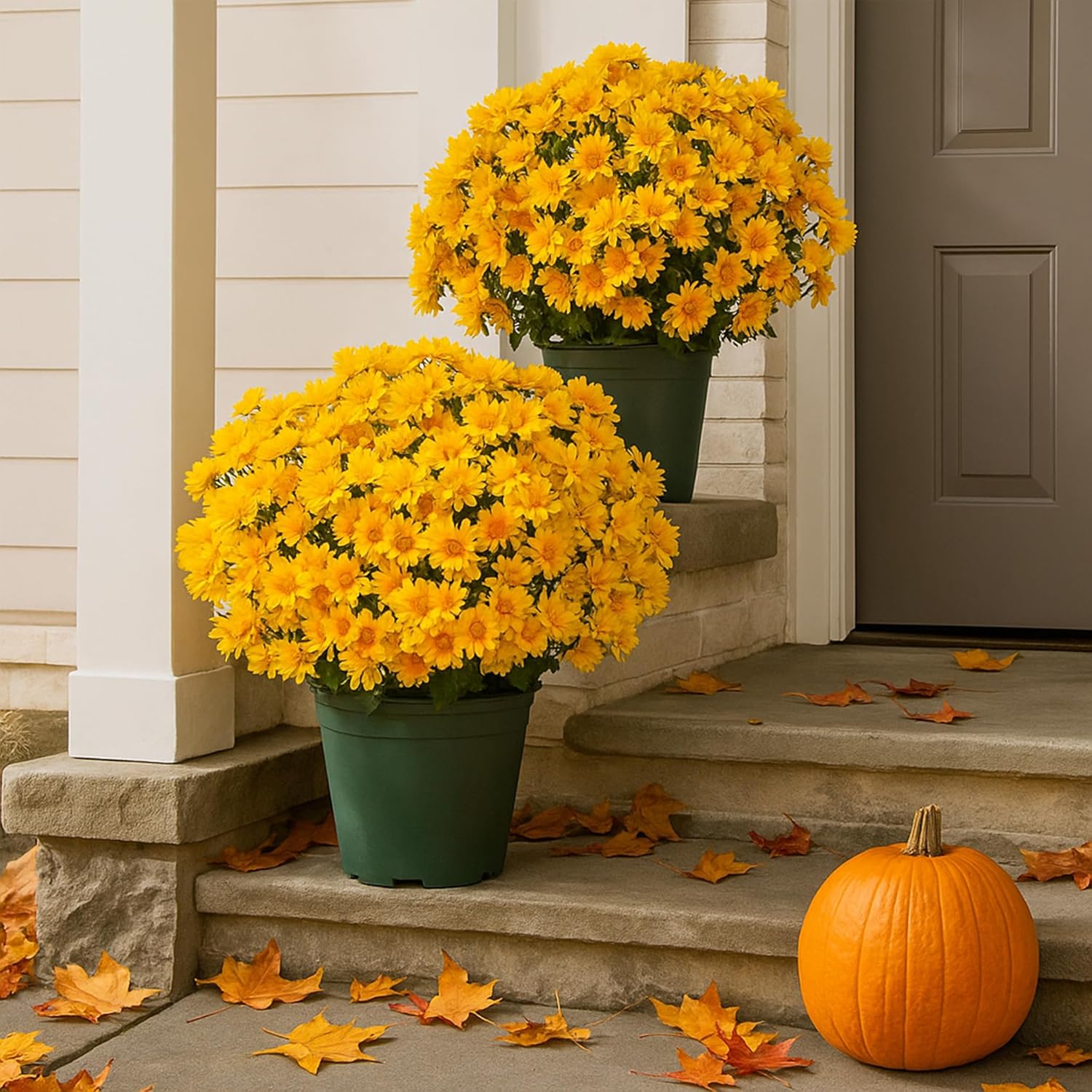 10 Bundles Artificial Mums - Lifelike Outdoor Sunset Flowers