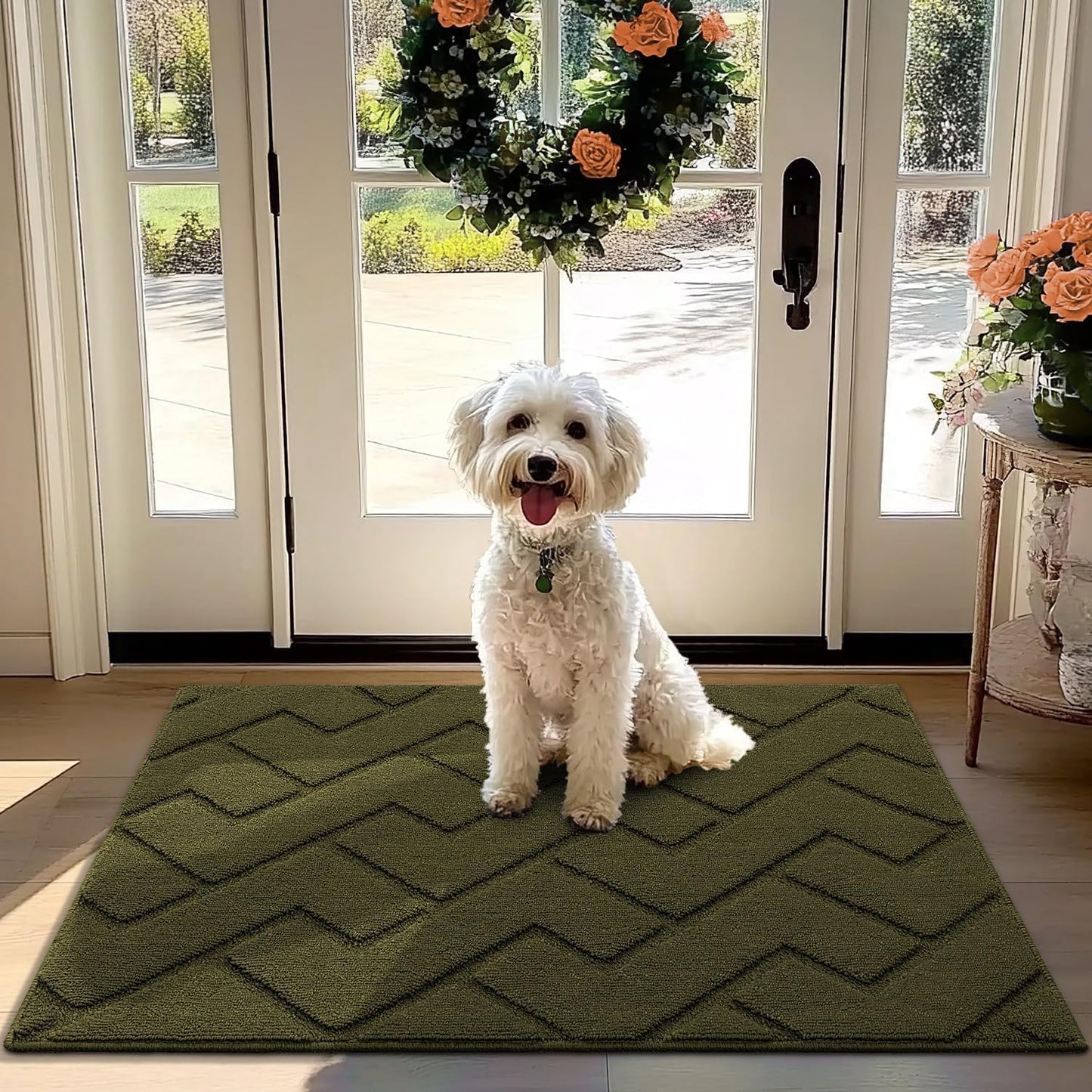 hicorfe Front Door Mat - Absorbent Muddy Dirt Resist Welcome Mat