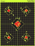 Splatterburst Targets 18 x 24 in Sight In Splatter Target - Quick