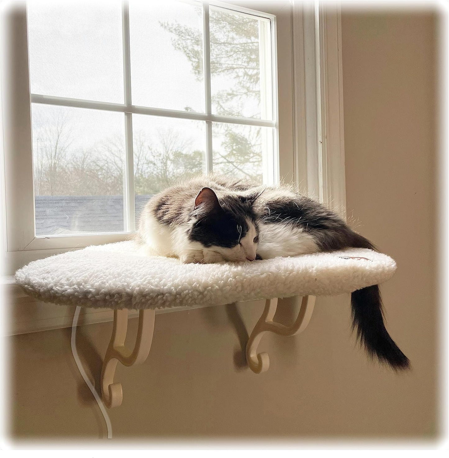 Heated Cat Window Perch for Large Cats - Cozy Kitty Hammock
