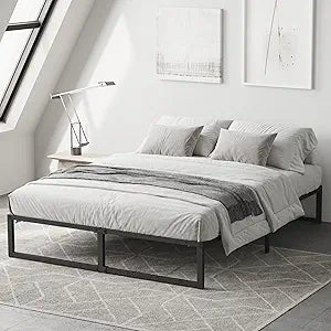 Richwanone 14 inch Queen Bed Frame Metal Platform for Comfort