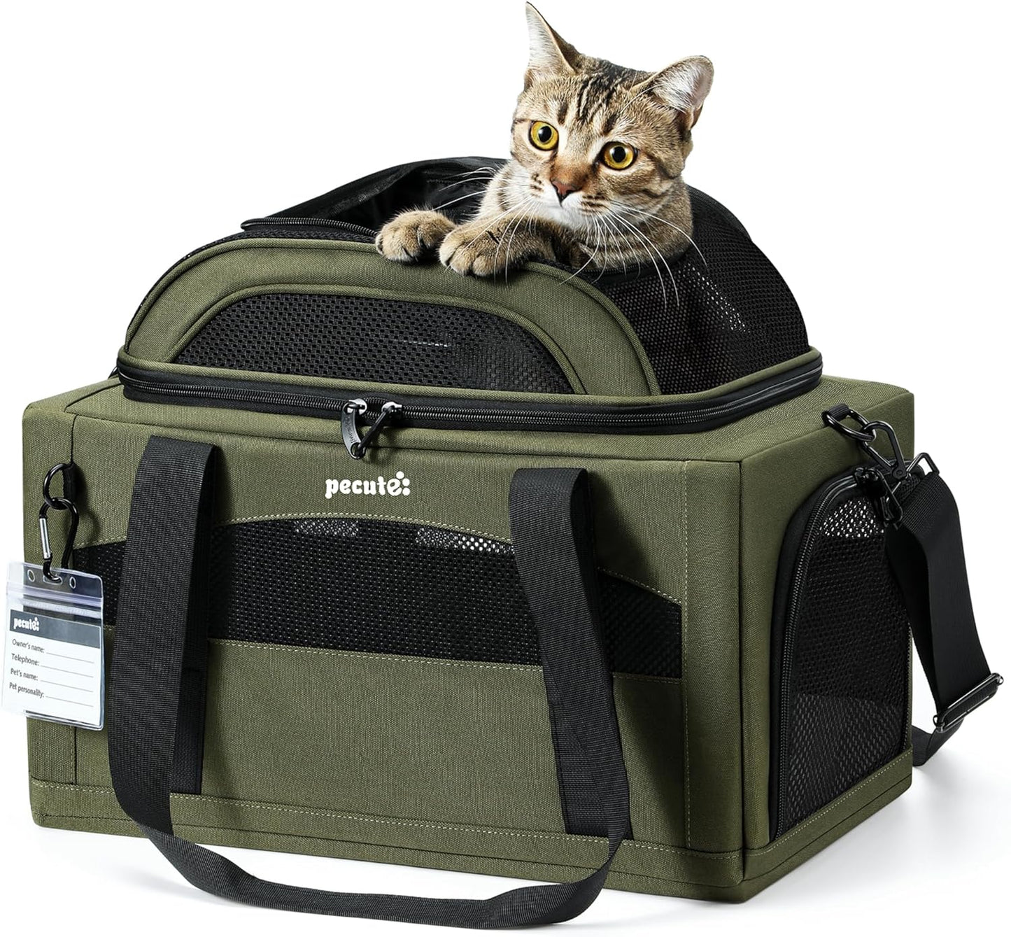 Pecute Expandable Pet Carrier for Small Dogs and Cats Travel