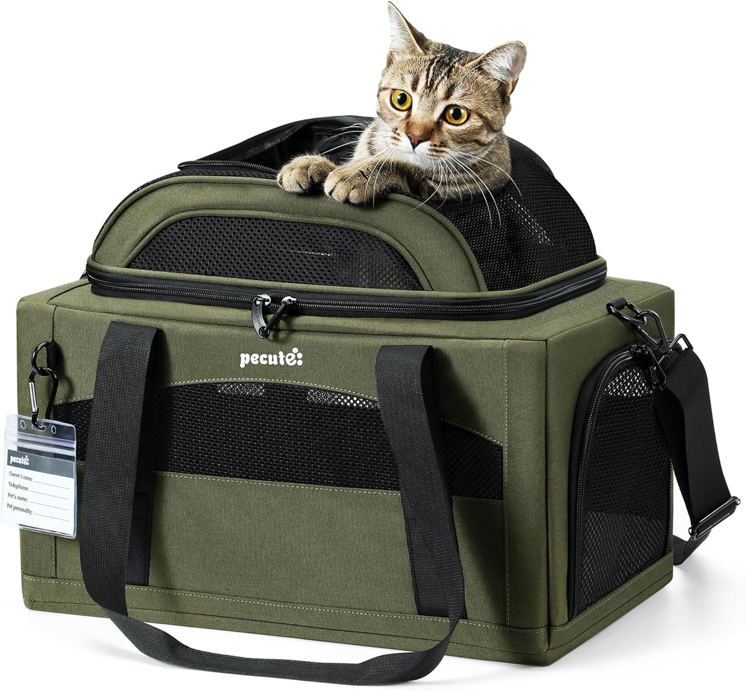 Pecute Expandable Pet Carrier for Small Dogs and Cats Travel