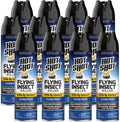 Hot Shot Flying Insect Killer Aerosol for Indoor and Outdoor Use