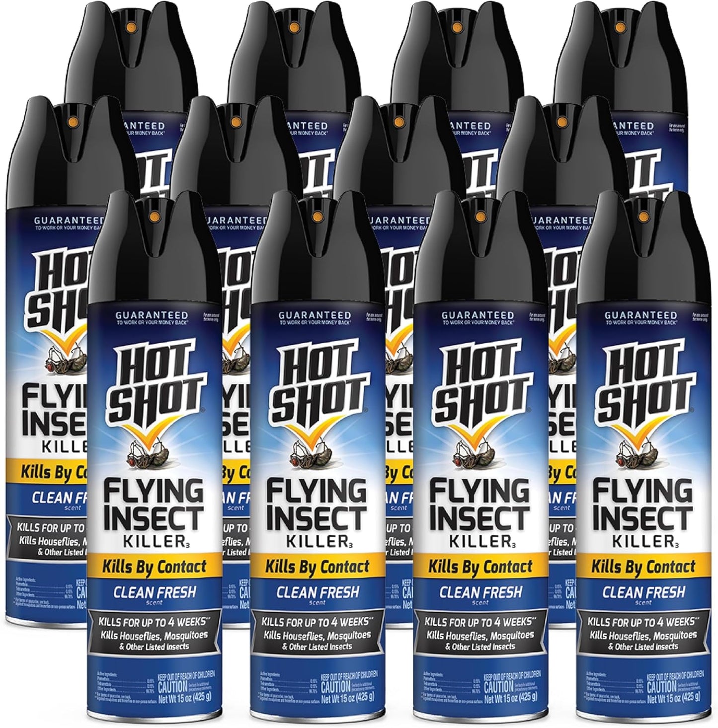 Hot Shot Flying Insect Killer Aerosol for Indoor and Outdoor Use