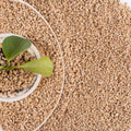 18lb Maifanitum Stones for Succulent Cactus Bonsai - Top Dressing