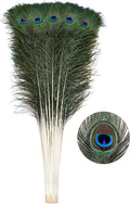 Ballinger 30pcs Natural Peacock Feathers 32-35in - Crafts & Decor