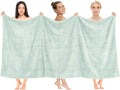 Cotton Paradise 100% Cotton 40x80 Oversized Bath Sheet - Luxury Mint