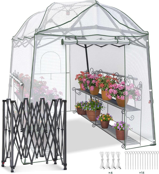 Portable Walk-in Greenhouse - Grow Anywhere Easily! Yardsight