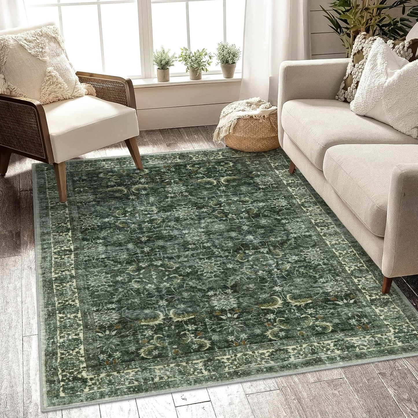 Anidaroel Washable Area Rug 5x7 for Living Room and Bedroom