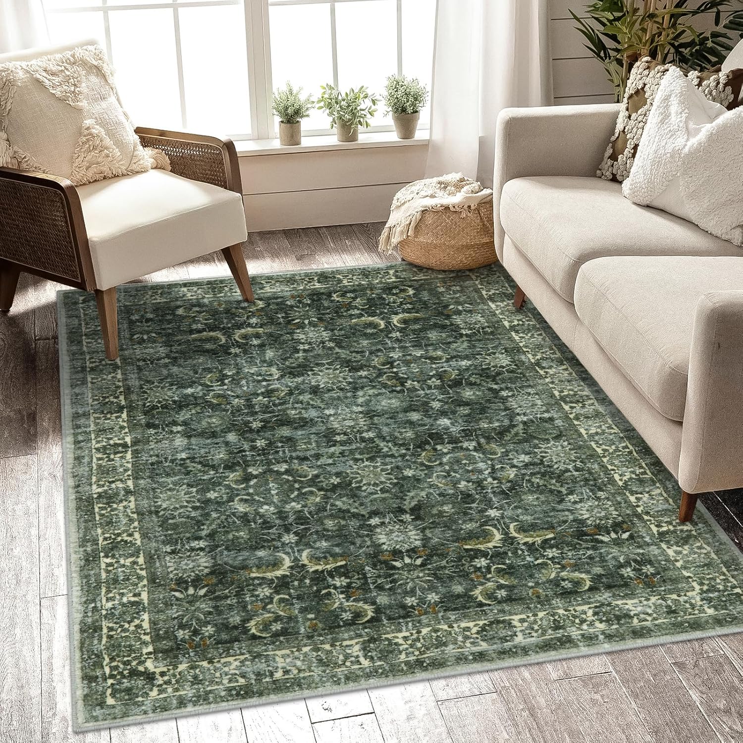 Anidaroel Washable Area Rug 5x7 for Living Room and Bedroom