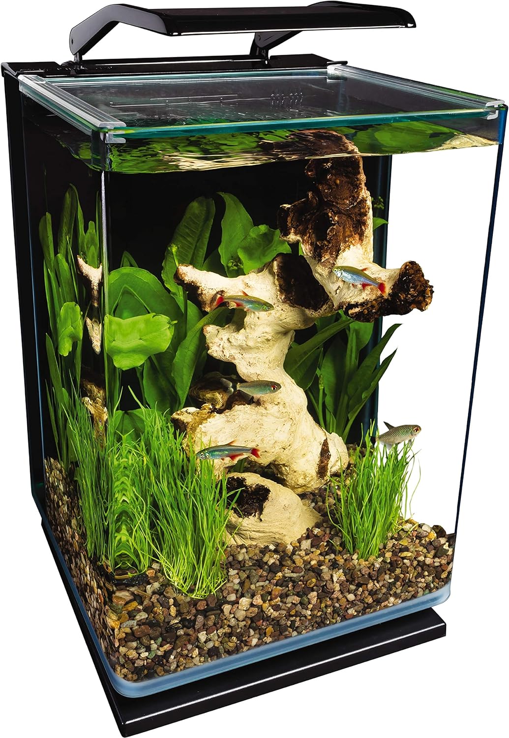 Marineland 5 Gallon Aquarium Kit - Hidden Filtration!