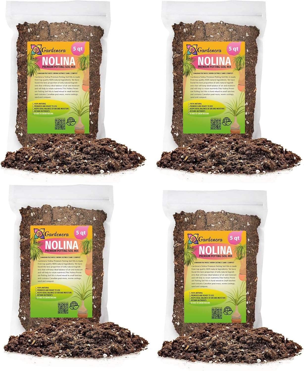 Nolina Potting Mix for Robust Growth and Striking Structure