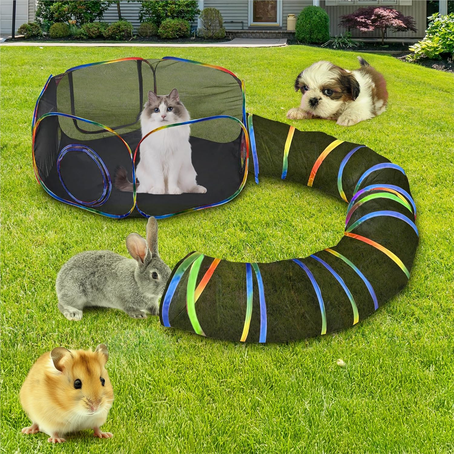 2-in-1 Cat Tunnel & Tent - Big Zippers, Breathable Mesh, Indoor/Outdoor Fun!