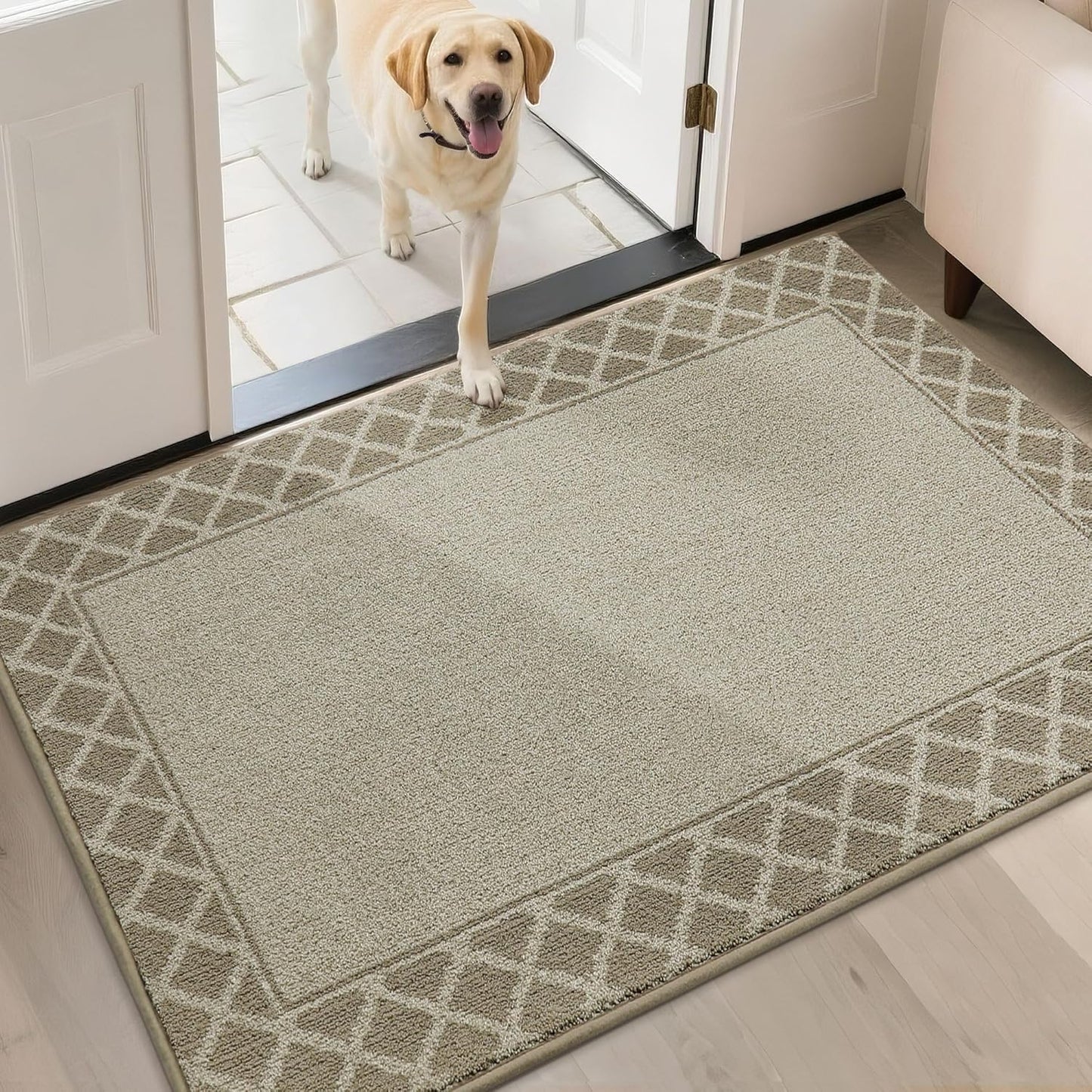 BEQHAUSE Door Mat Dirt Trapper Non Slip Entryway Rug 32in x 48in