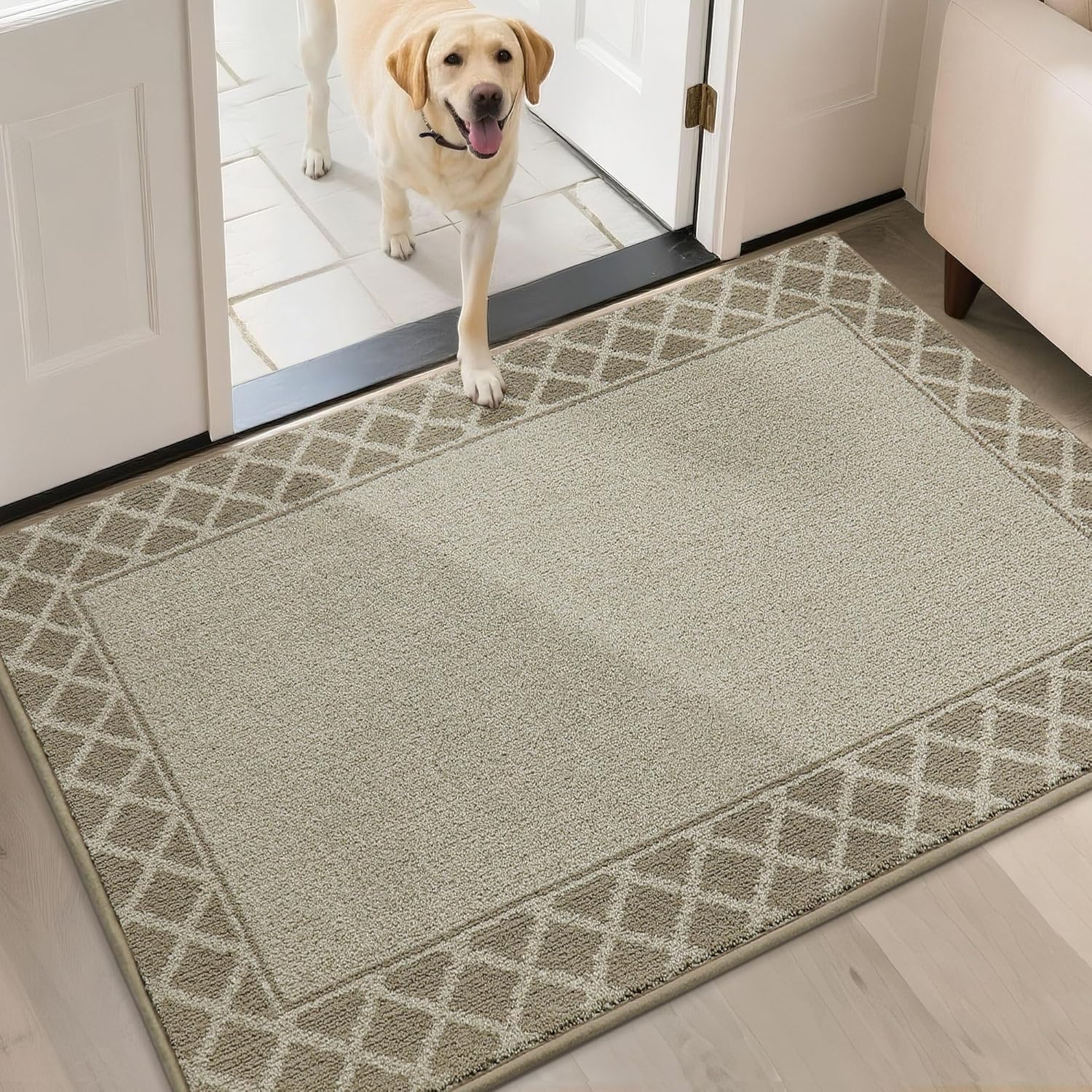 BEQHAUSE Door Mat Dirt Trapper Non Slip Entryway Rug 32in x 48in