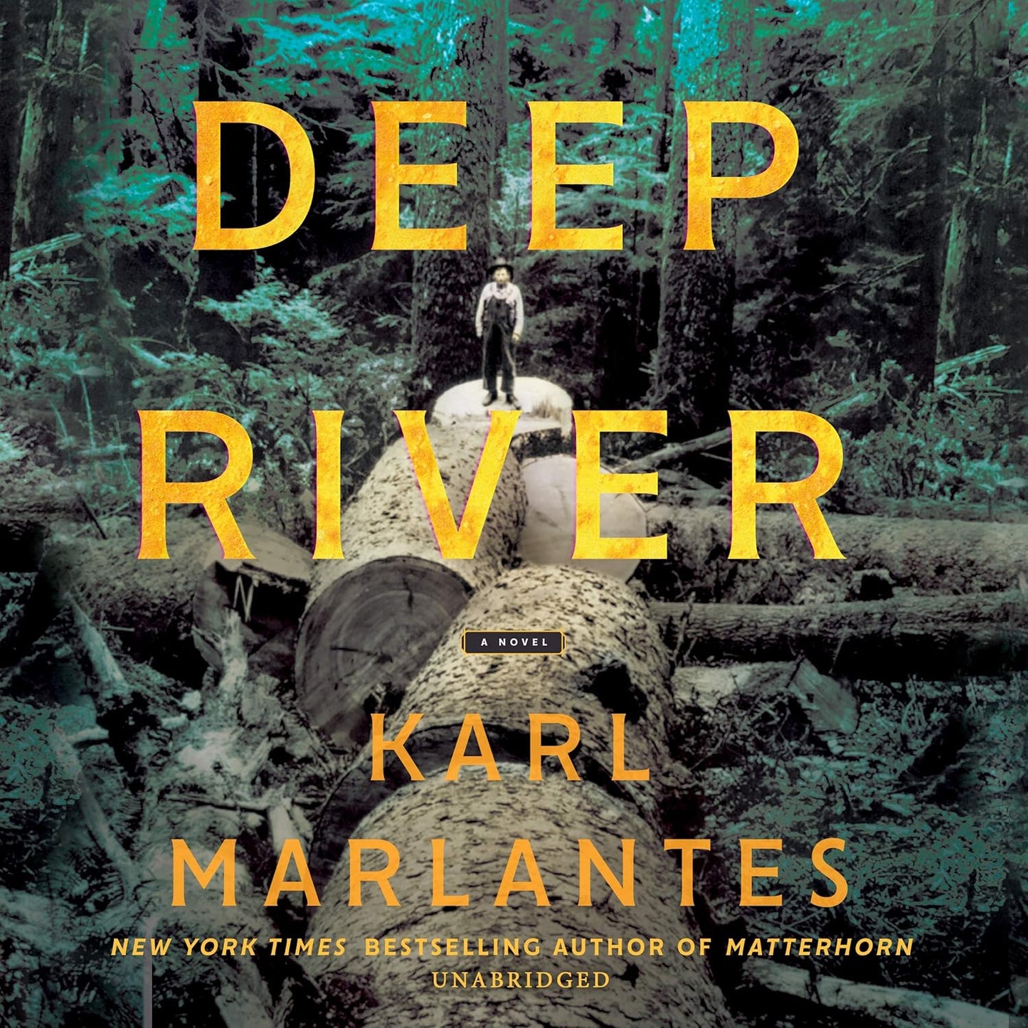 Deep River by Karl Marlantes and Bronson Pinchot - A Gripping Tale