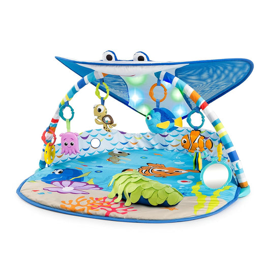 Mr. Ray Ocean Lights Gym