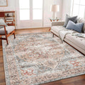 Area Rug 6x9 Light Cyan and Light Red Washable Vintage Traditional