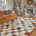 Checkered Rug 5x7 by PureCozy: Modern Rainbow Shag