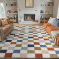 Checkered Rug 8x10 for Living Room - Plush Modern Rainbow Shag Rug