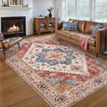 Ciicool 5x7 Area Rug Low-Pile Vintage Boho Rug - Washable, Non-Slip