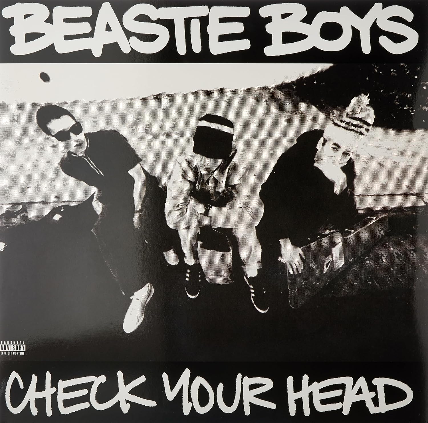 Check Your Head Explicit Lyrics Album Review and Insights
