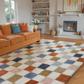 Checkered Rug 5x8 for Living Room - Plush Modern Rainbow Shag Rug