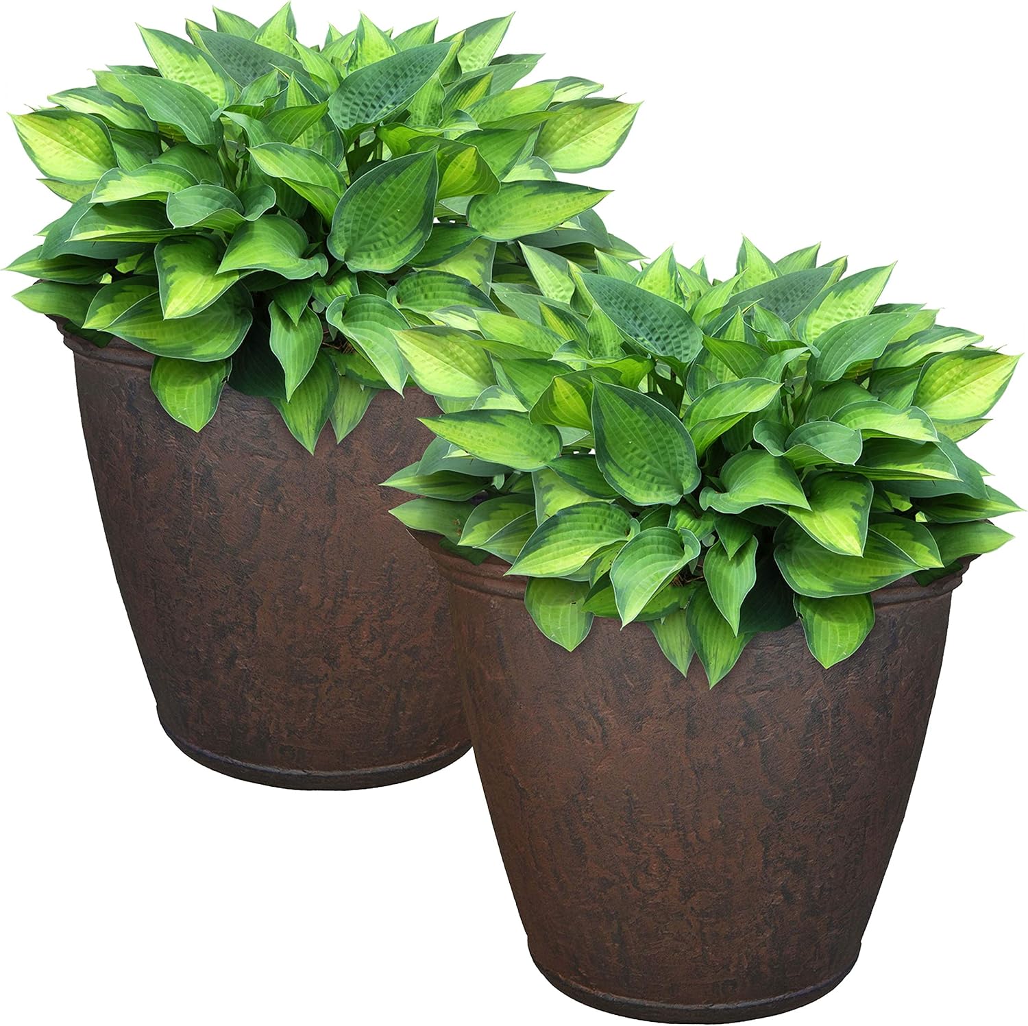 Sunnydaze 15.25-Inch Anjelica Large Plastic Pot for Plants