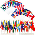 International Flags of the World 200 Mini Hand Held Flags - Portable