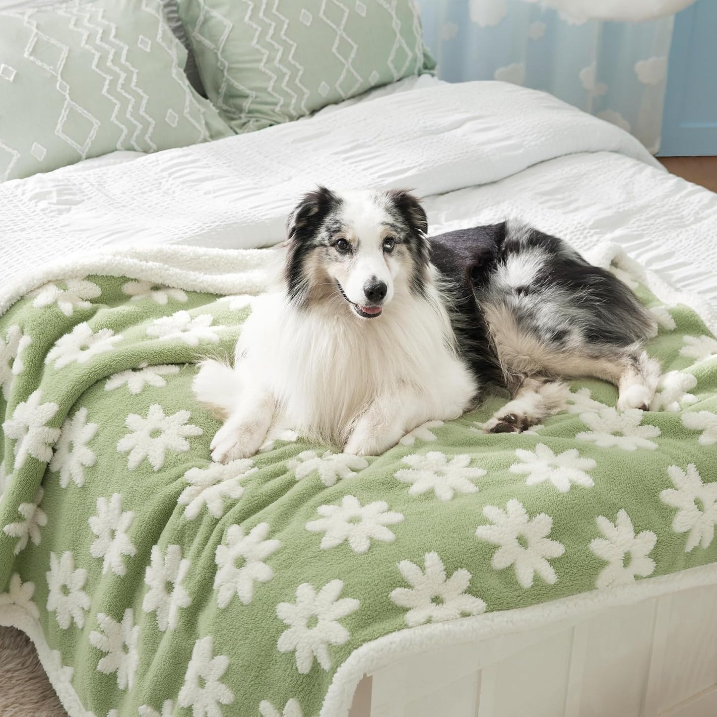 Lesure Waterproof Dog Blanket for Large Dogs - Cozy & Stylish